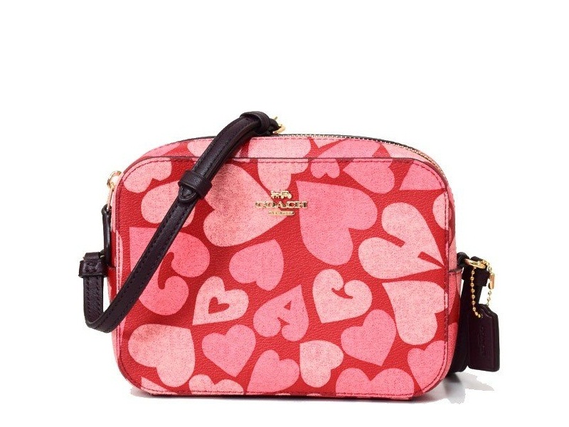 Coach Mini Camera Bag with Heart Print