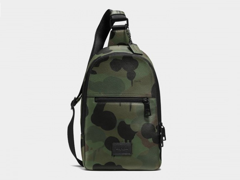 Coach wild beast discount backpack